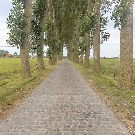 酒店 胡伊斯霍埃威酒店 克诺克－海斯特